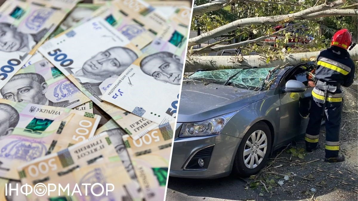 На автівку впало дерево: водій вимагає від міськради 260 730 гривень – що вирішив суд