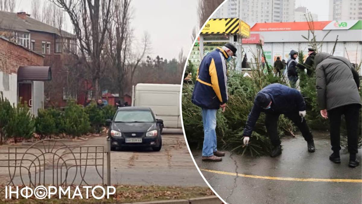 Новорічні ялинки-нелегалки вже продають у Бортничах на київській Дарниці