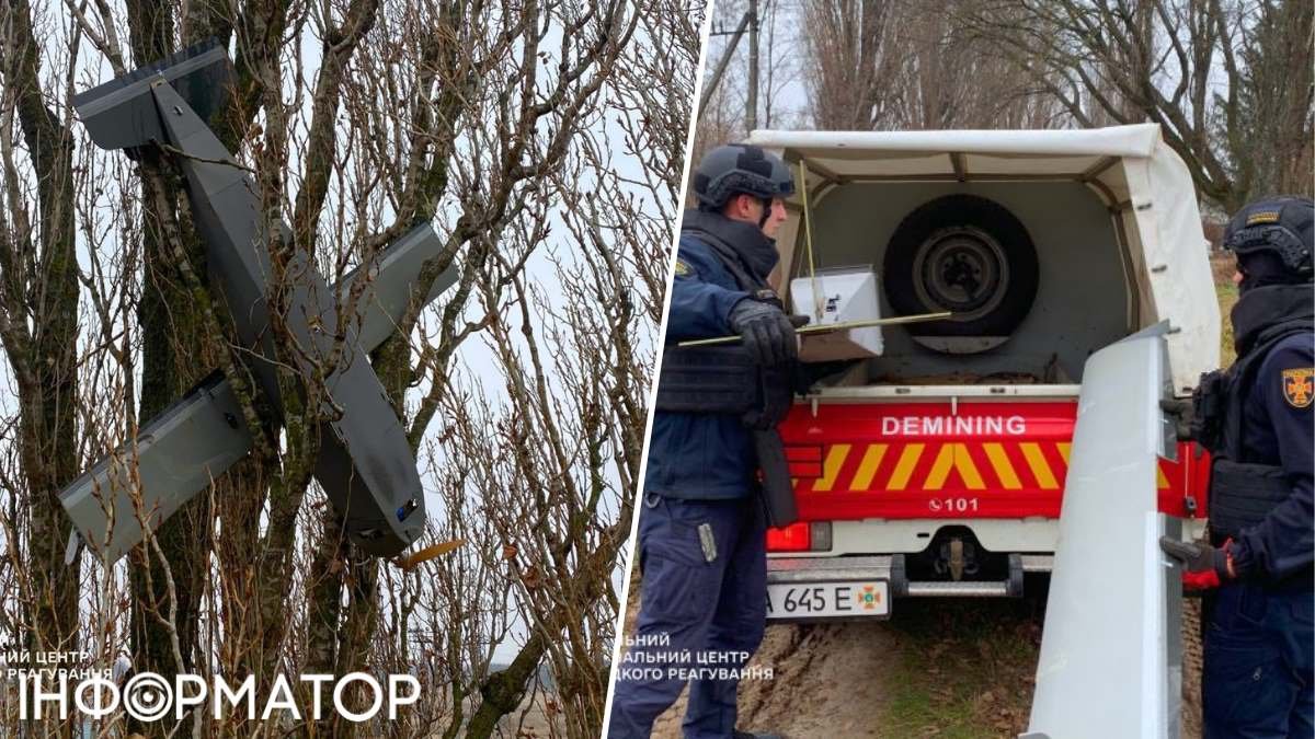 Під Києвом російський безпілотник-приманка застряг у дереві