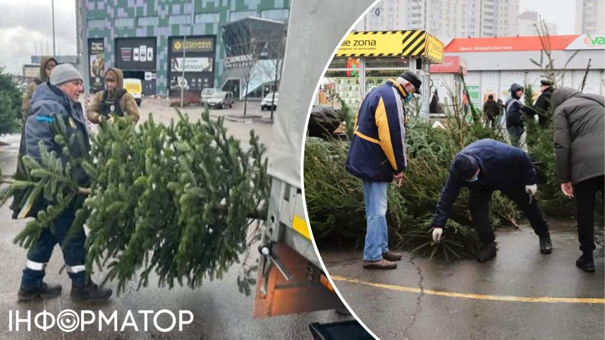 Ялинки-нелегалки завойовують Київ: у якому з районів демонтували найбільше незаконних ярмарків