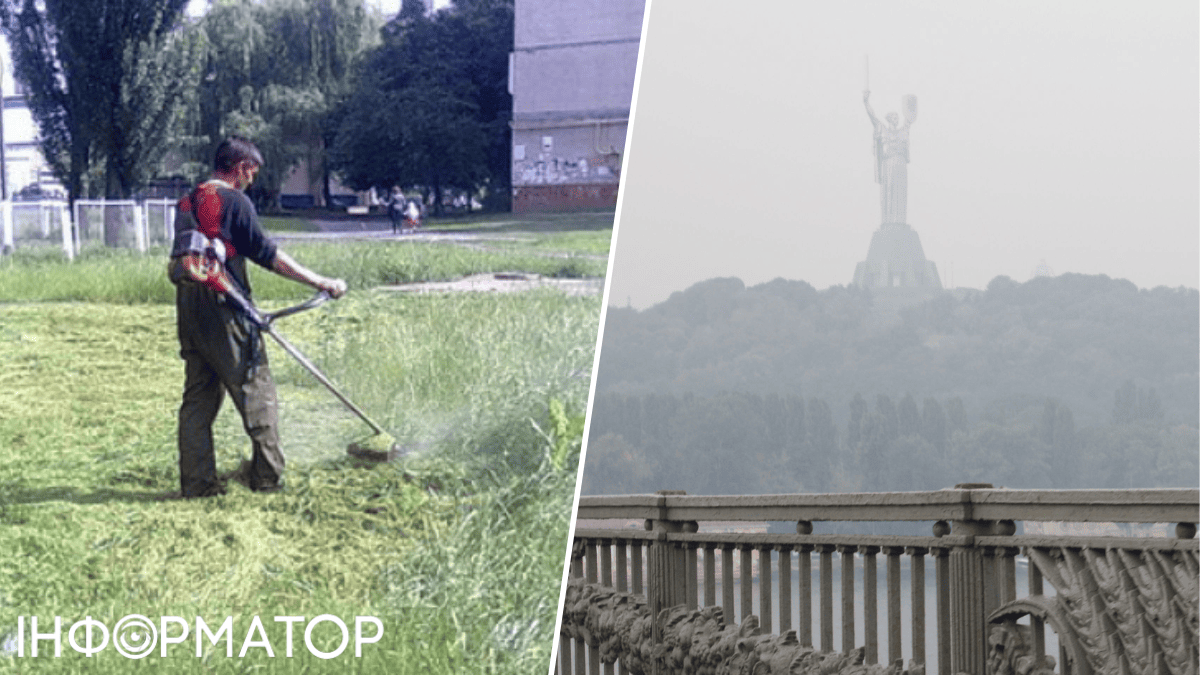 Для захисту столиці від бруду і спеки кияни вимагають заборонити скошування трави