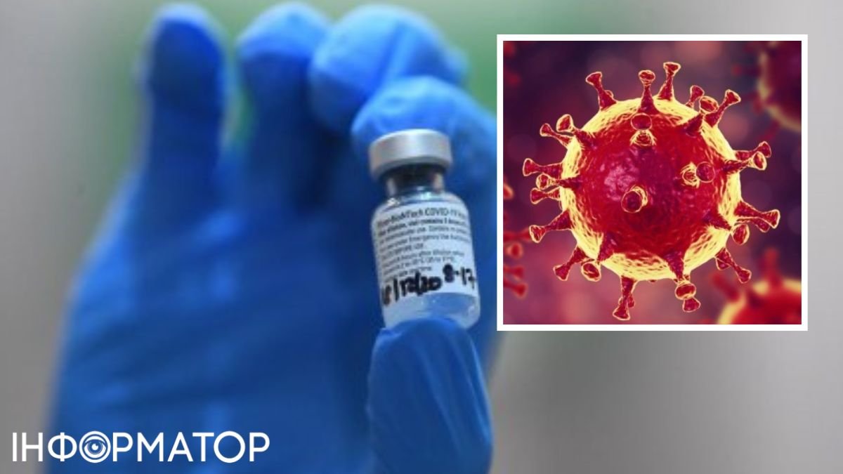 Науковці виявили чотири типи реакцій на вакцини від COVID-19: які наслідки це матиме