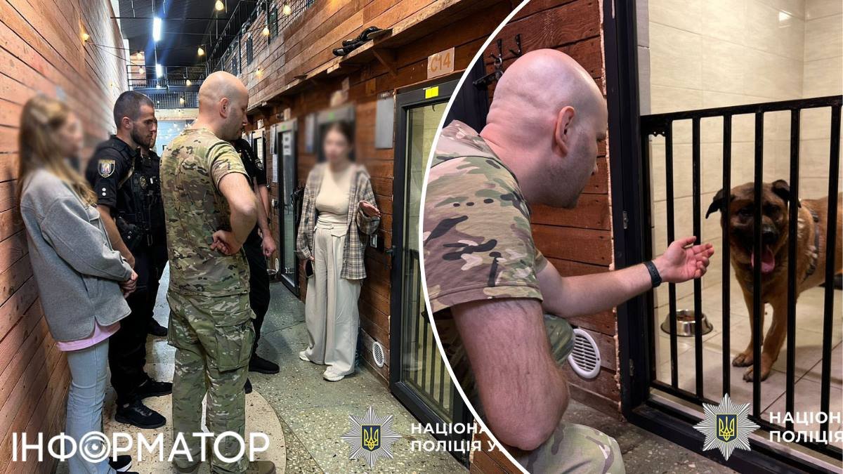 Залиште Мішу в спокої: зооволонтери закликають небайдужих киян утриматися від відвідувань пса з Теремків.