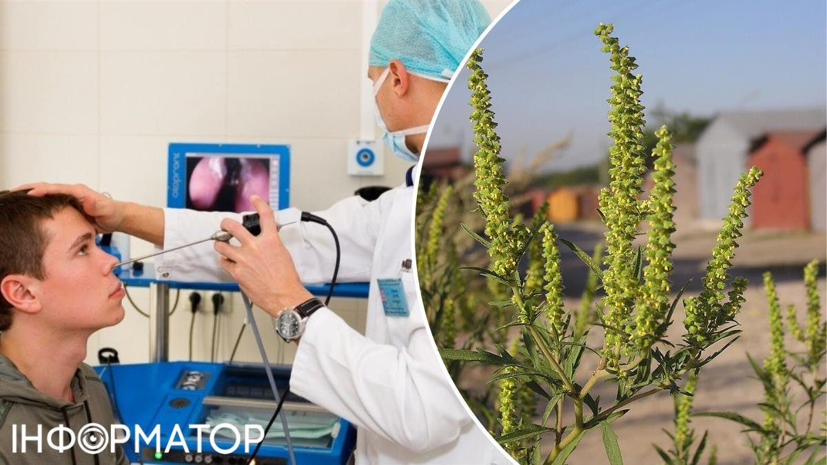 Пора покласти край сінній лихоманці: Кличка закликають активно боротися з амброзією