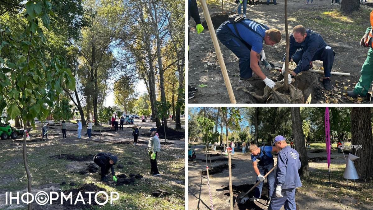 Катальпи замінюють безлад: у Гідропарку створили новий громадський простір