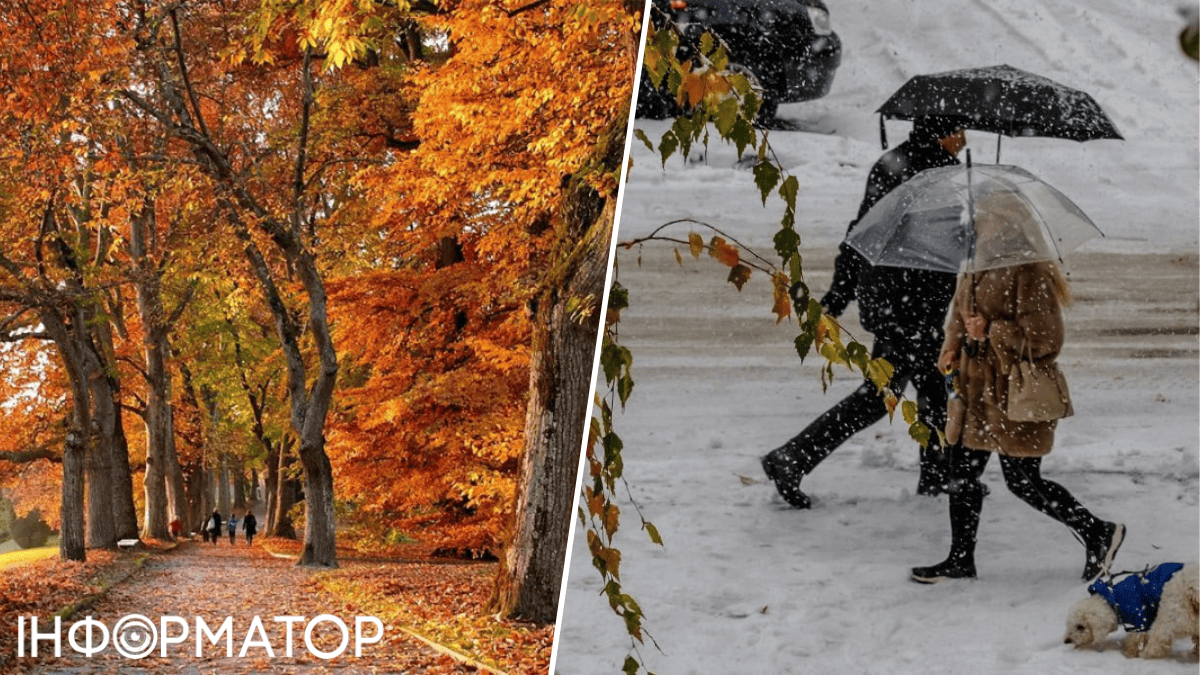 Зима завітала до південної частини України: актуальний прогноз погоди на 22 листопада