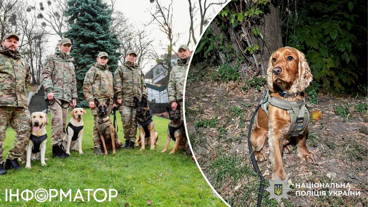 Київські чотирилапі детективи: з початку року вони виявили більше 50 кг наркотиків.