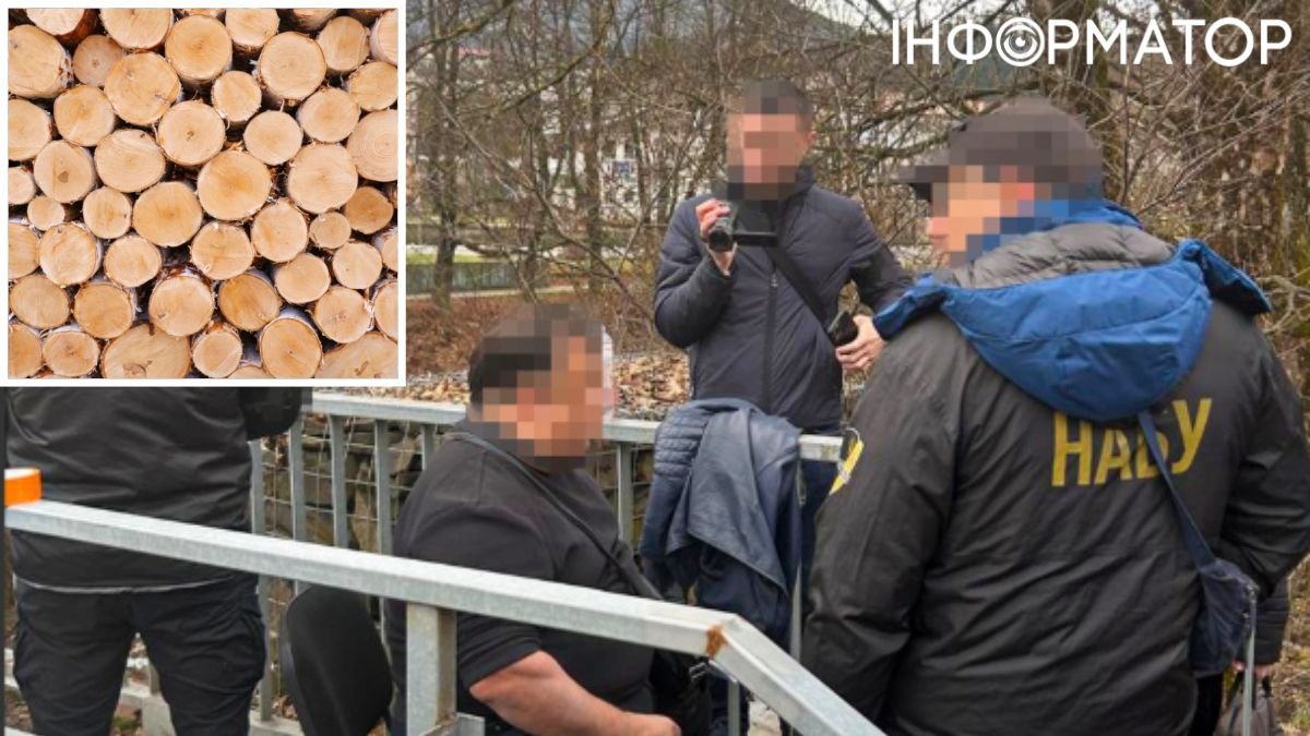 САП і НАБУ розкрили факти корупції судді із Закарпаття, котрий отримував хабарі в формі “солодощів”