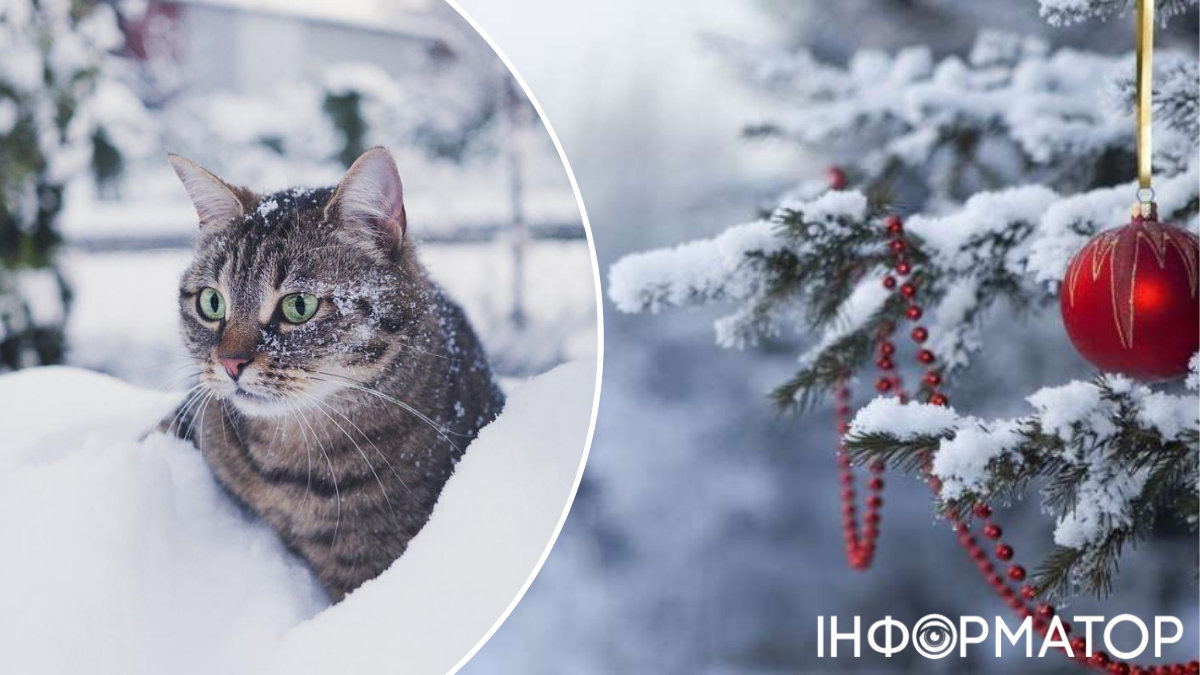 Циклонічний вихор залишає Україну напередодні Нового року – погода на 30 грудня.