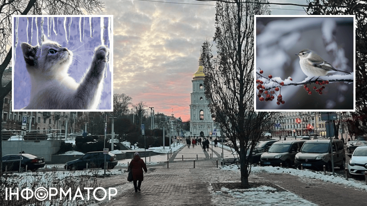 Новий морозний рекорд: коли чекати найнижчих температур – прогноз на 29 січня