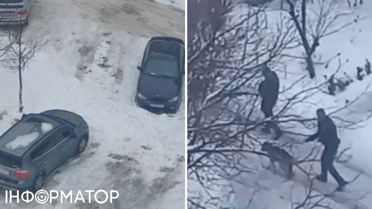 У Київській області собака наніс серйозні ушкодження 8-річному хлопчику, якого терміново доставили до лікарні.