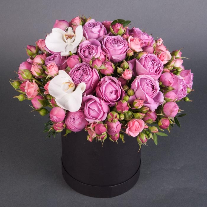 Секреты флористики: почему локальные цветы Camellia лучше импортных