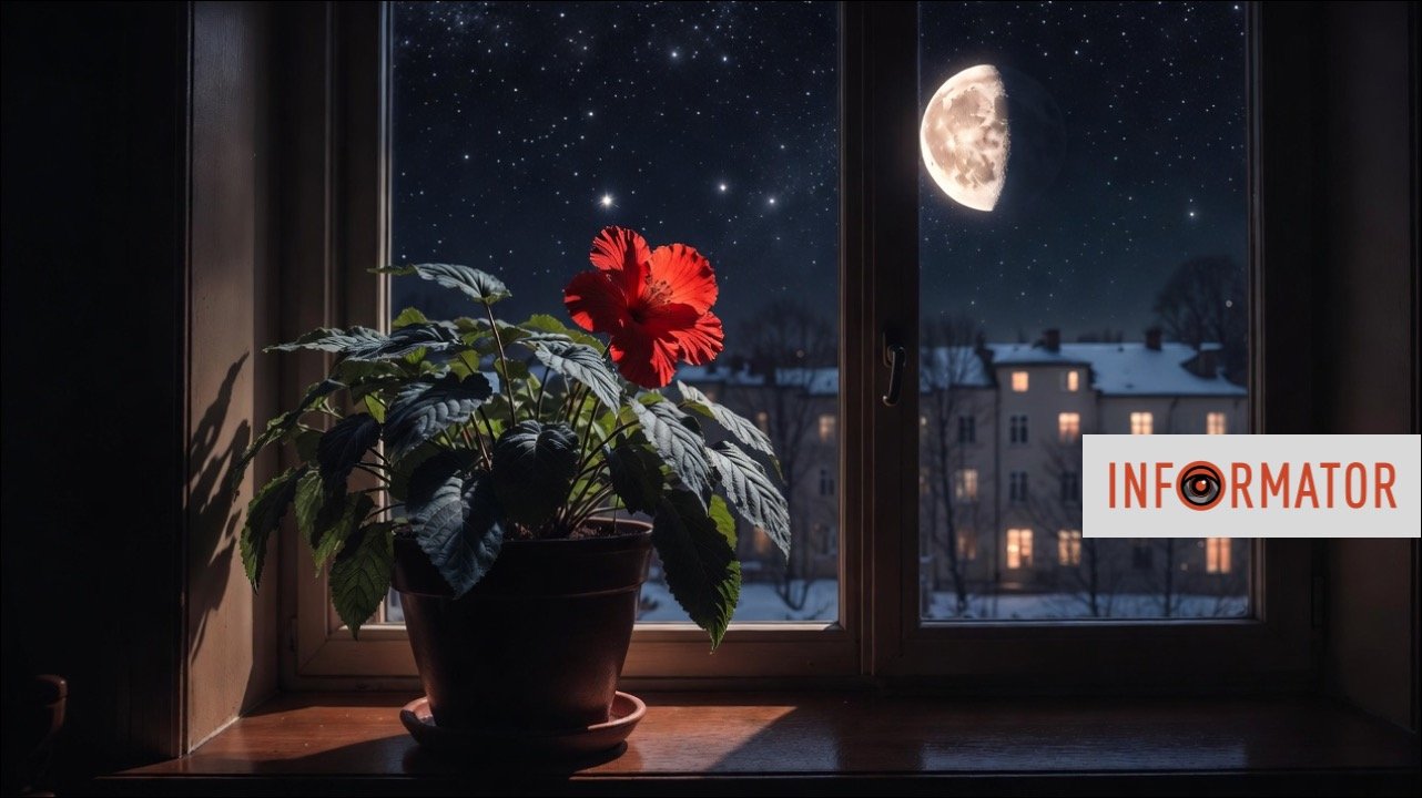 Астрологічний прогноз на 9 лютого: час для емоційного розвантаження та відновлення сил.