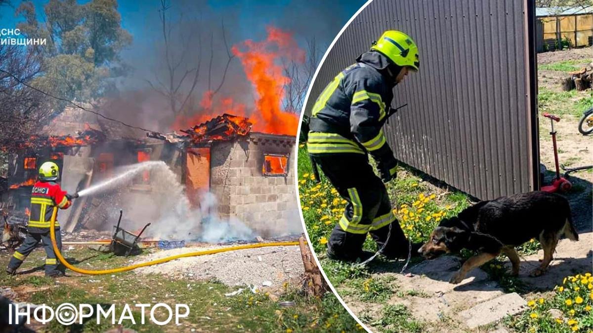На Київщині вогнеборці врятували з палаючого будинку собаку, прикуту ланцюгом