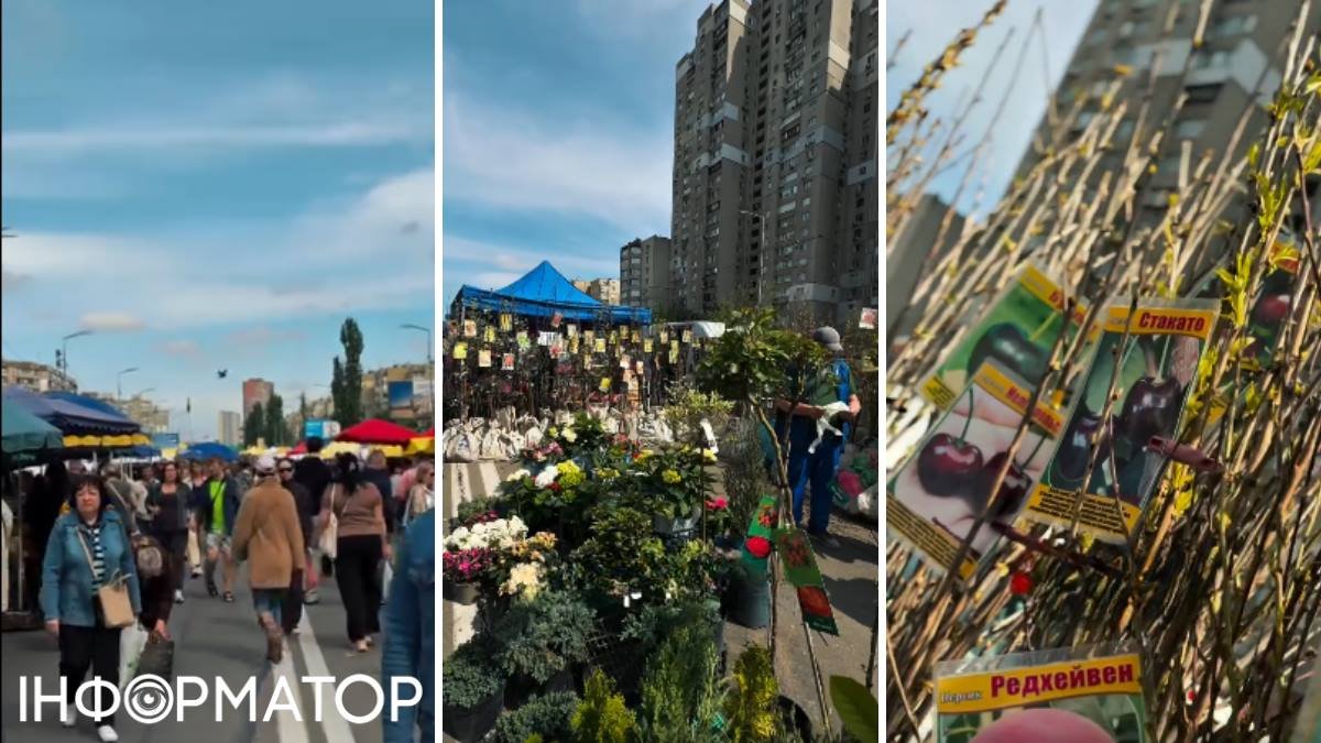 На київських ярмарках стартував сезон саджанців — ціни підскочили на 25% порівняно з торішніми.