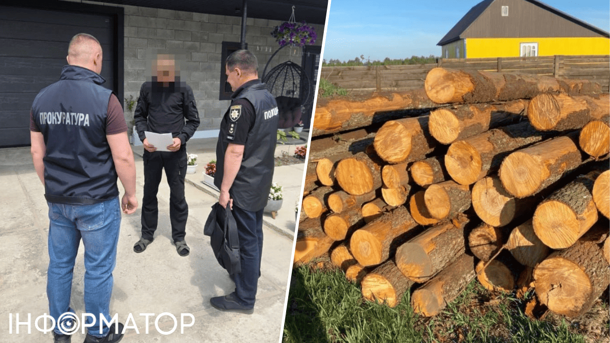 Прокуратура викрила в Україні мережу незаконних вирубок — збитки 248 млн грн і тисячі знищених дерев