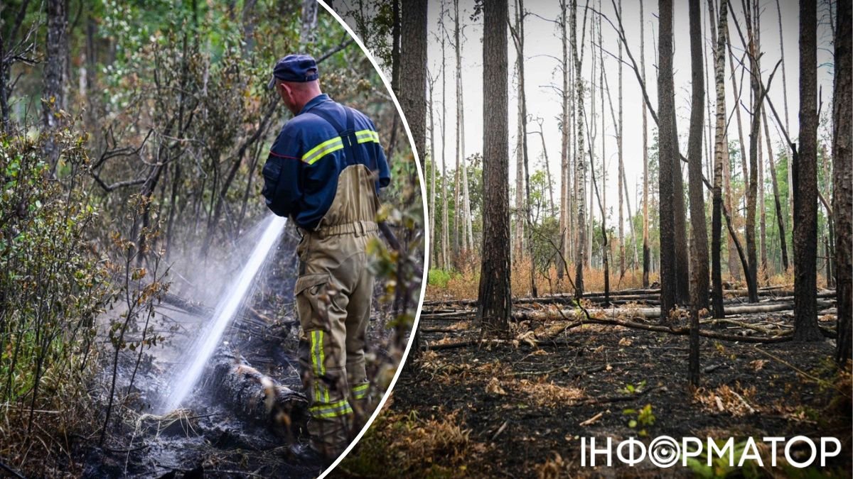 Після 14 днів гасіння рятувальники Київщини ліквідували пожежу в Чорнобильській зоні відчуження