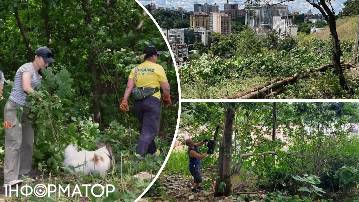 Волонтери розчистили Замкову гору в Києві та відкрили нову оглядову площадку з панорамним видом на місто
