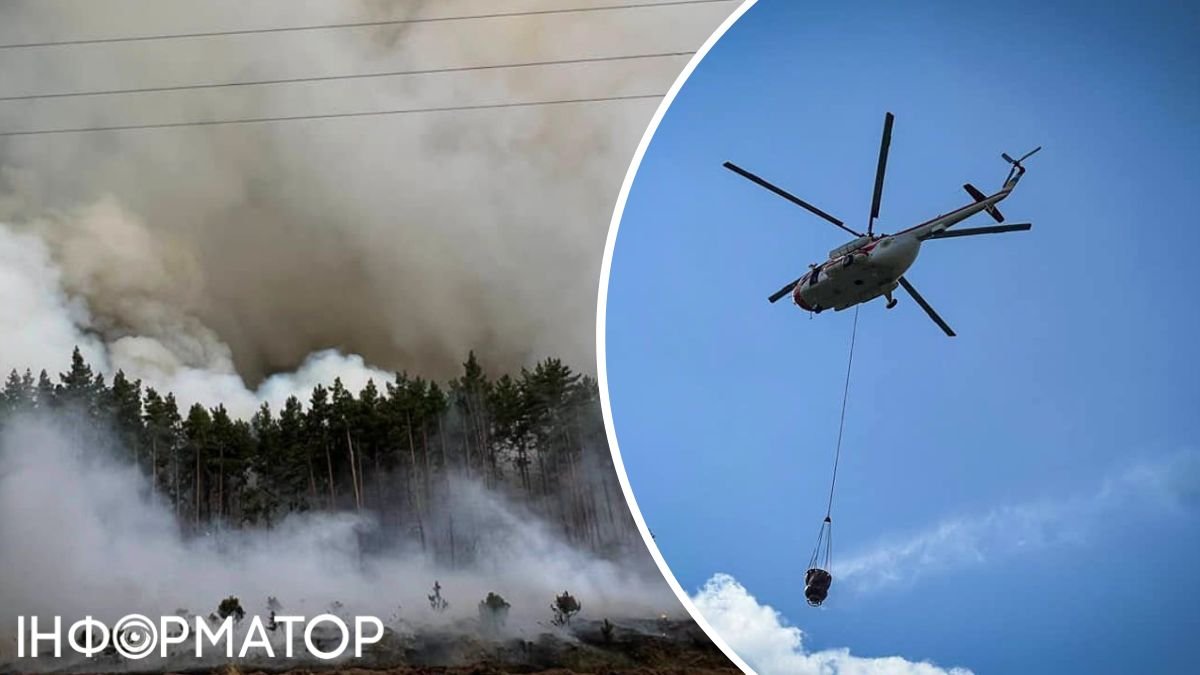На Київщині на півночі області розгорілася масштабна лісова пожежа