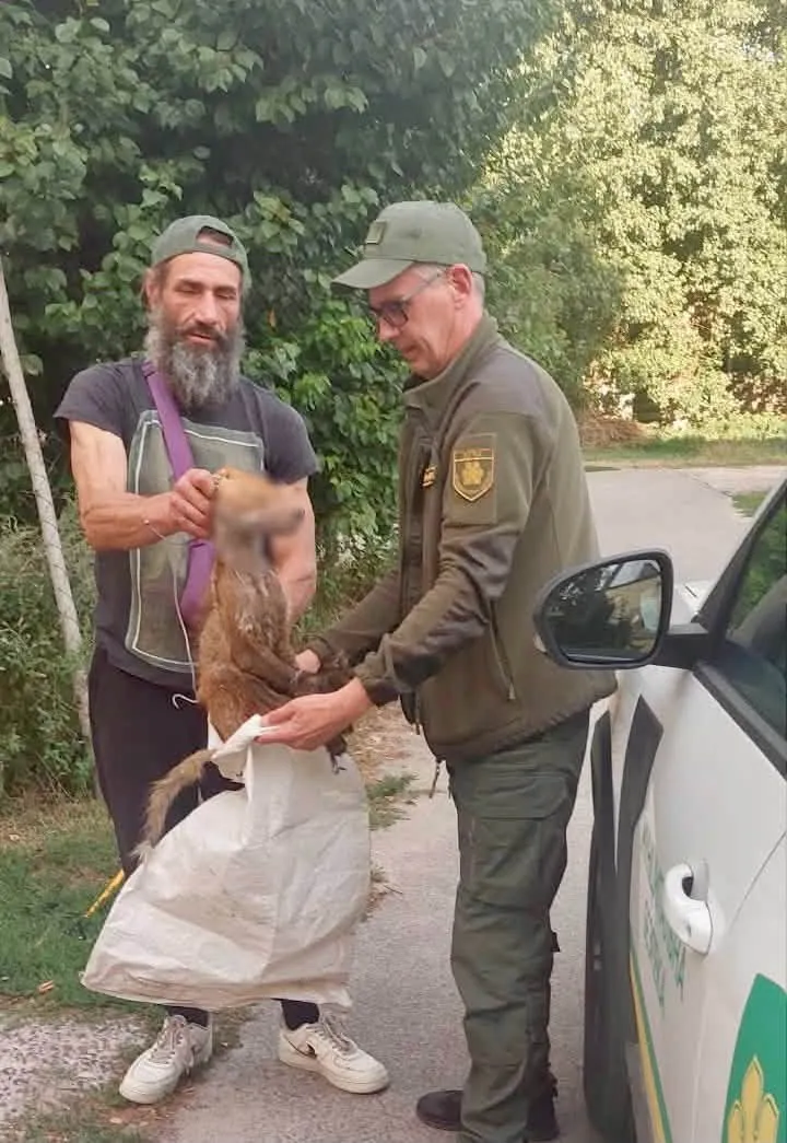 Фото: КП Муніципальна безпека