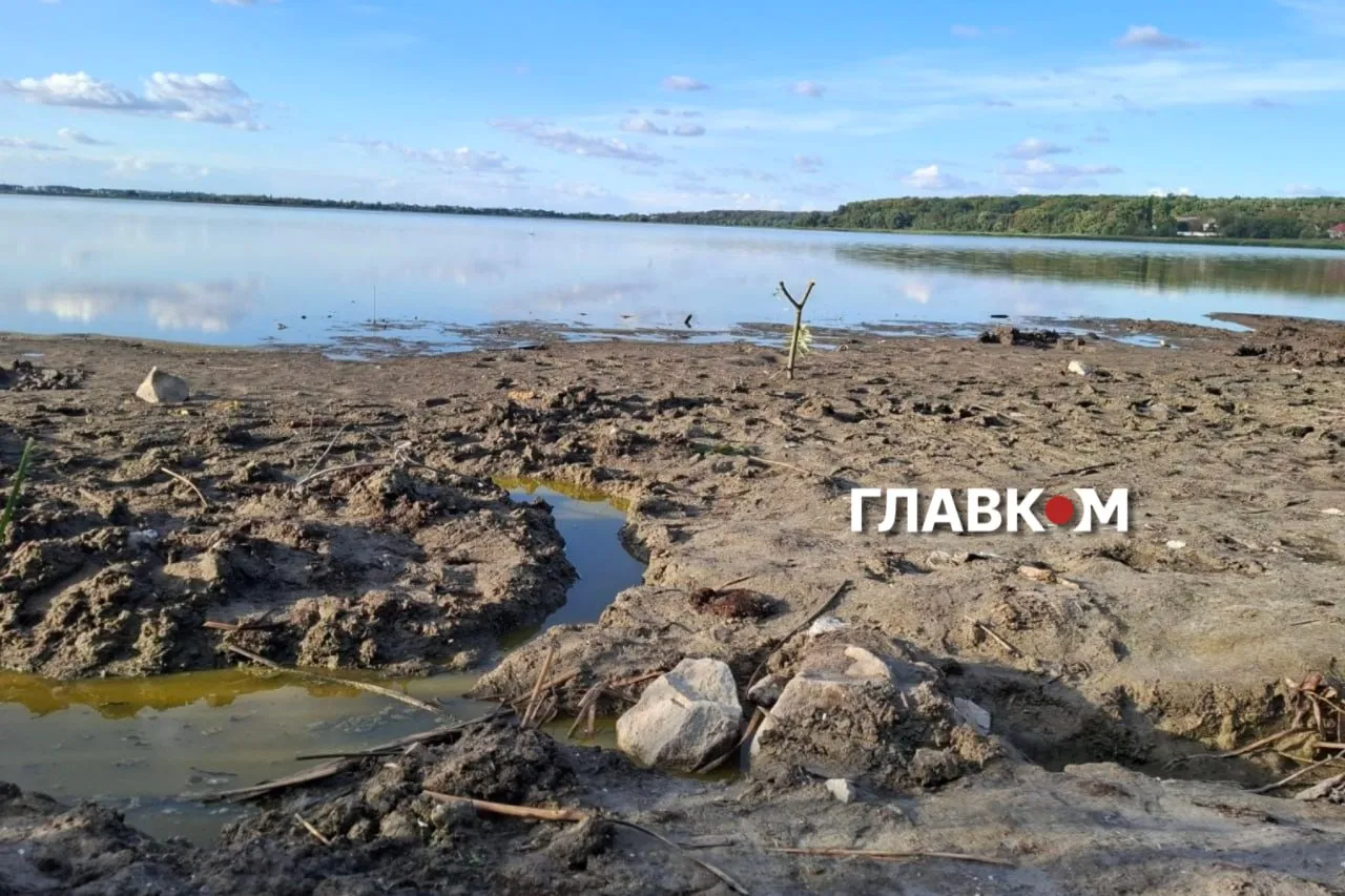 Через мілководдя і спеку вода почала масово цвісти Водойма