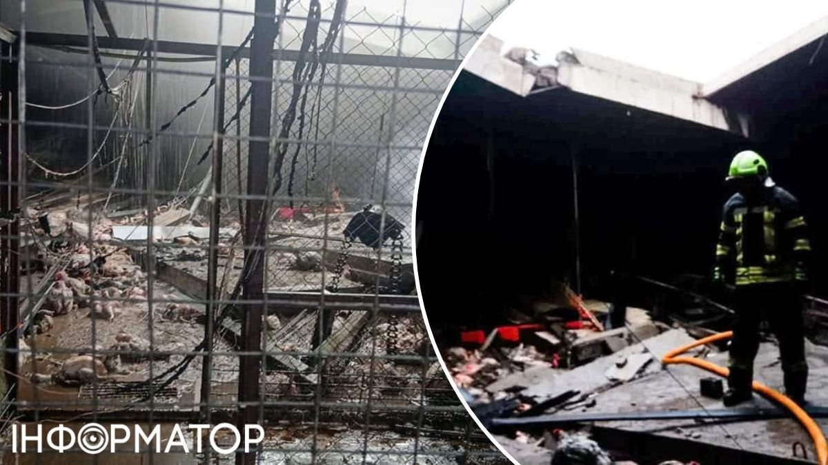 Росіяни атакували велику птахоферму поблизу Борисполя