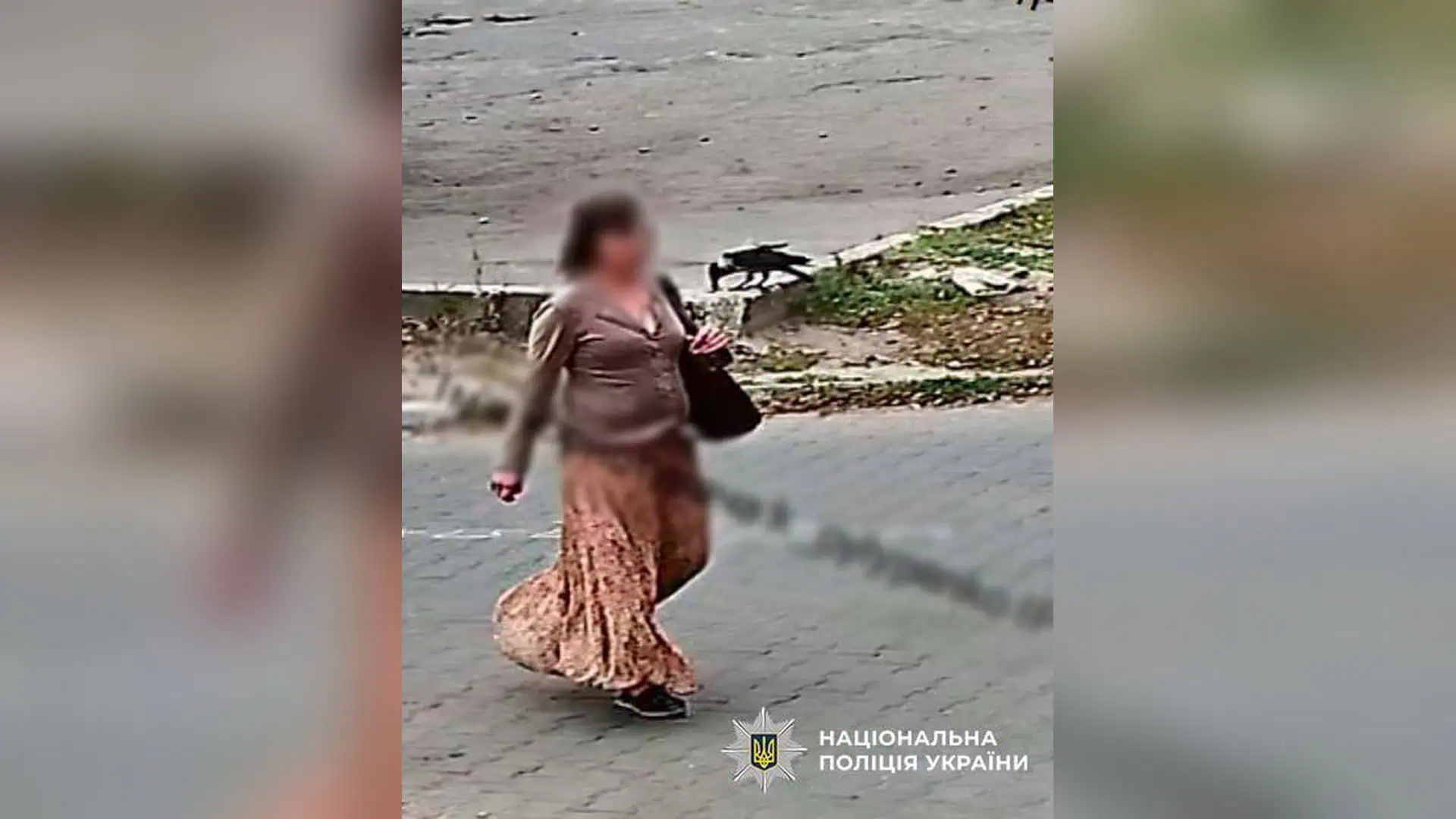 У Деснянському районі затримали киянку за пограбування дівчинки