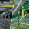 У Києві внаслідок ракетного ураження ТРЦ Cosmo Multimall зазнав шкоди "Звірополіс"